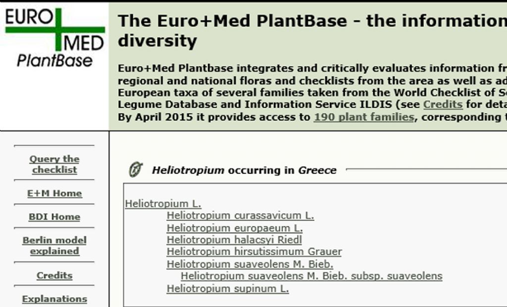 Dubbi sugli Heliotropium greci